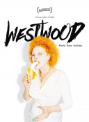 制胜战争王国2的五大策略，让你顺利升级